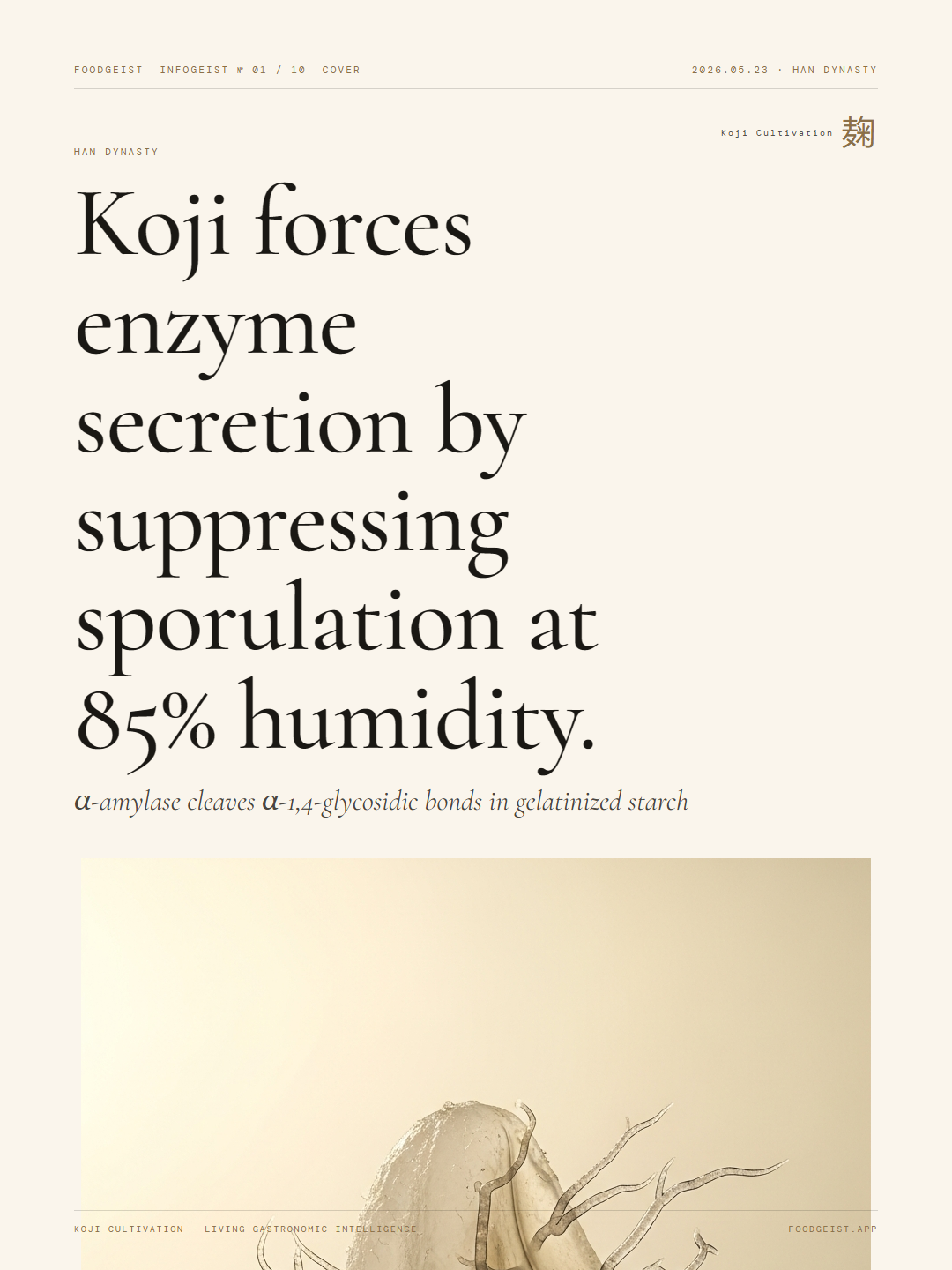 Koji Cultivation Infogeist