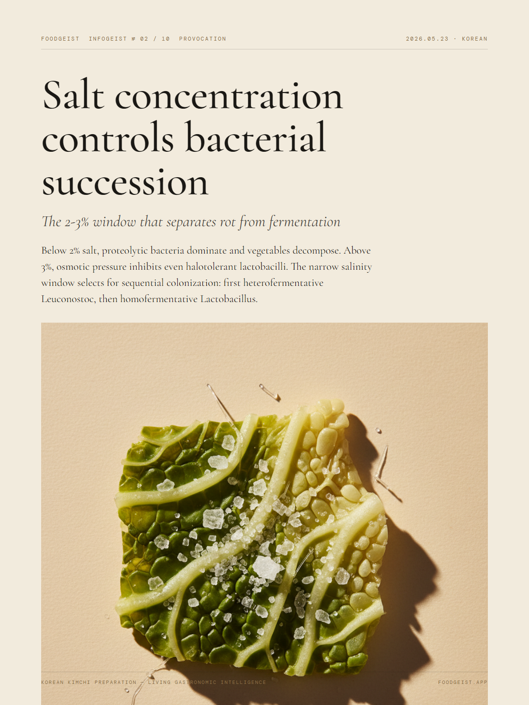 korean-kimchi-preparation slide 2