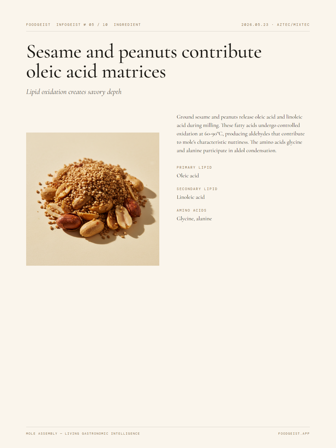mole-assembly slide 5